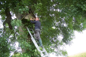 Putting up barn owl boxes